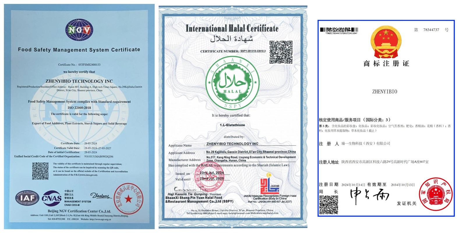 ZHENYIBIO CERT ZHENYIBIO CERT